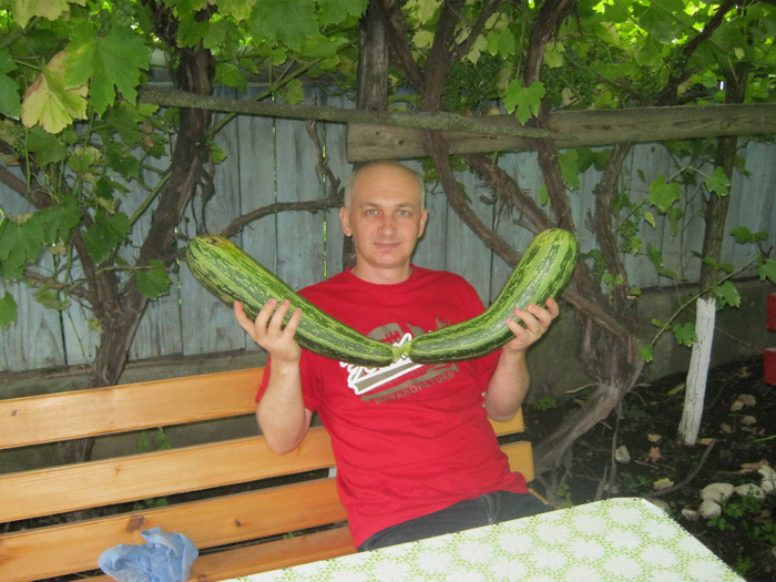 dan aug 2011, super dovleci