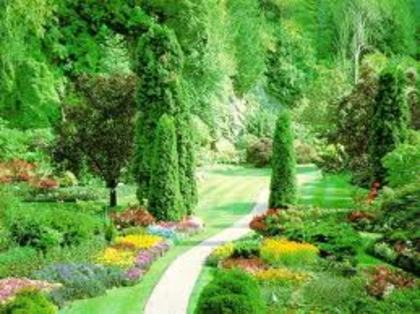 nature - nature
