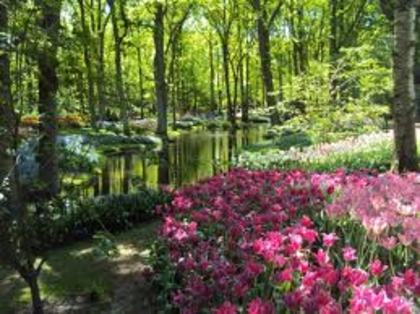 nature