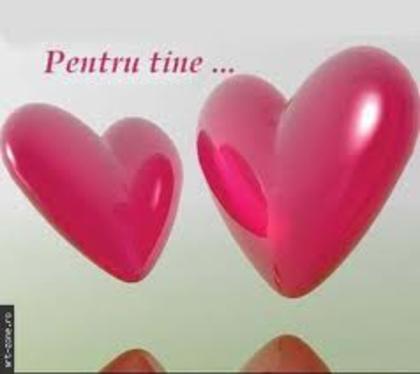 image - and_andreea