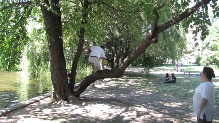 se duce sa se sinucida