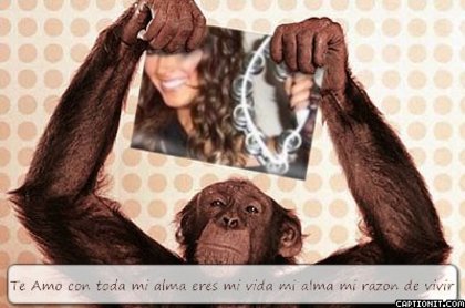 captionit1054429505D32