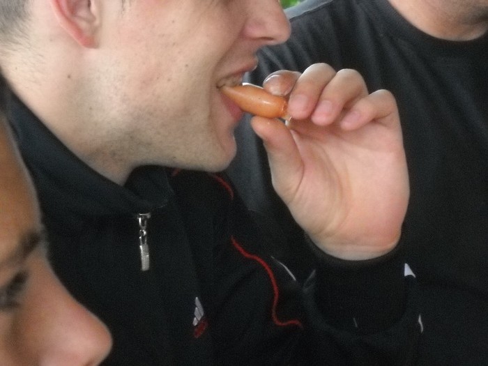 Picture 1793 - INCARCAREA BATERIILOR 2011 COLIBITA