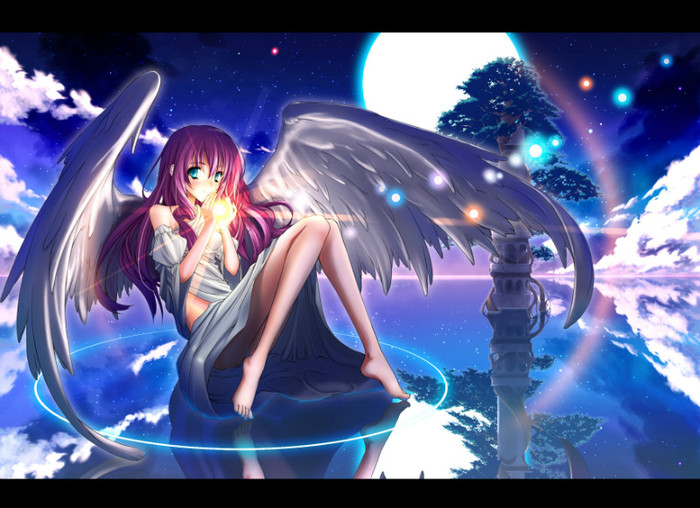 11640_1_other_anime_angels_anime_girls - fete anime 2