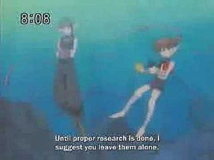 3CA81ACC98729ABF5A0EFE_Large