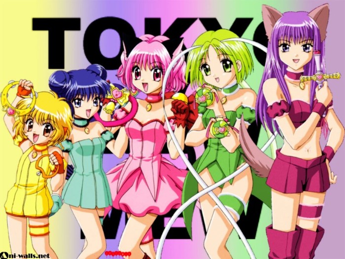 15566 - aaa-Tokyo Mew Mew