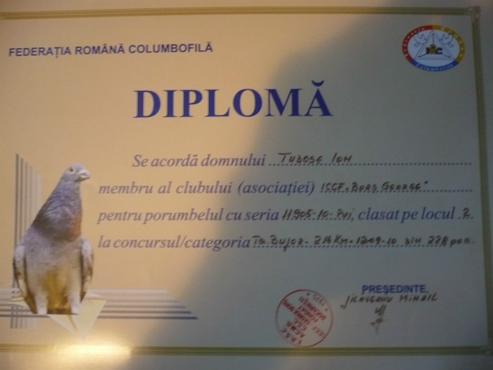 P1110550 - 3-Diplome
