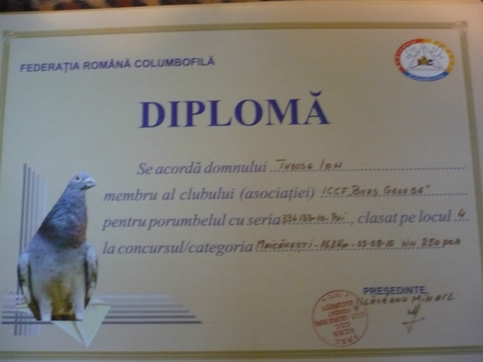 P1110551 - 3-Diplome