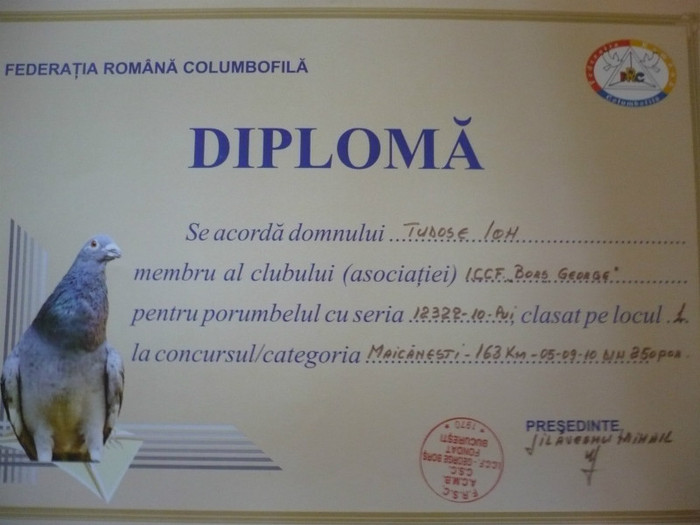 P1110552 - 3-Diplome