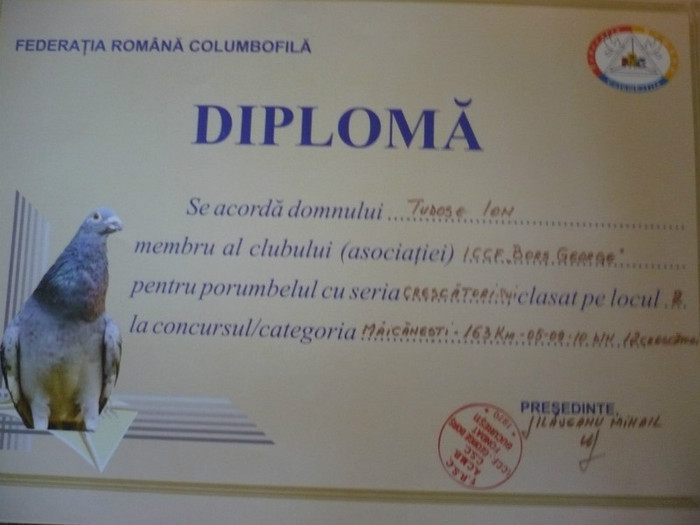 P1110553 - 3-Diplome