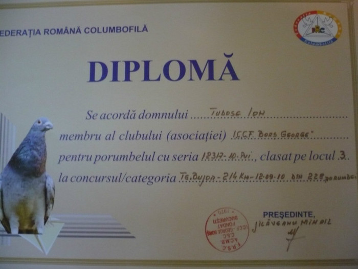 P1110555 - 3-Diplome