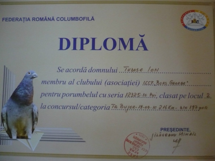 P1110556 - 3-Diplome