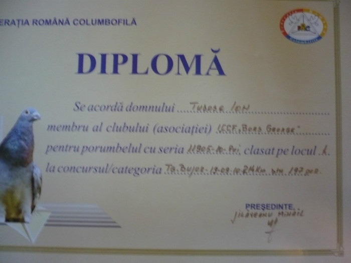 P1110557 - 3-Diplome