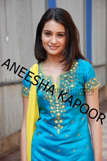 catsol - Anisha Kapur