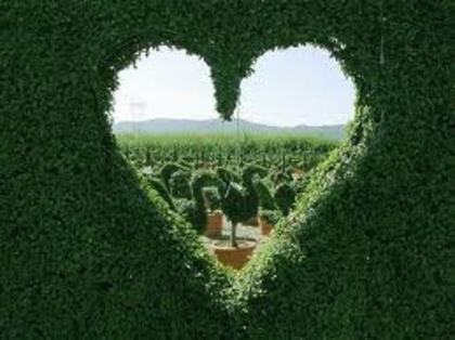 image - and_andreea