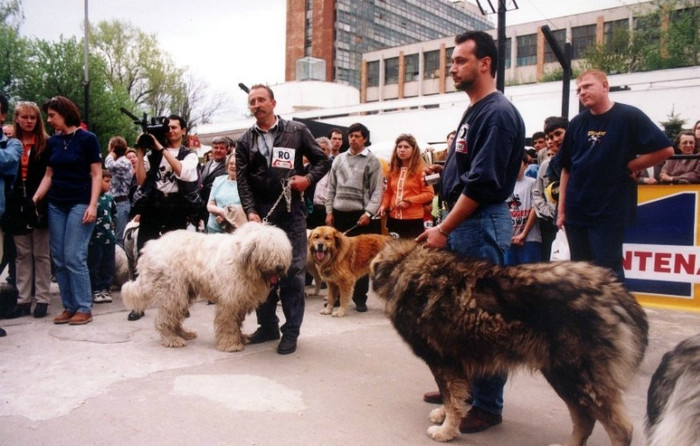 finala floreasca 1998 - Ursu de Romania