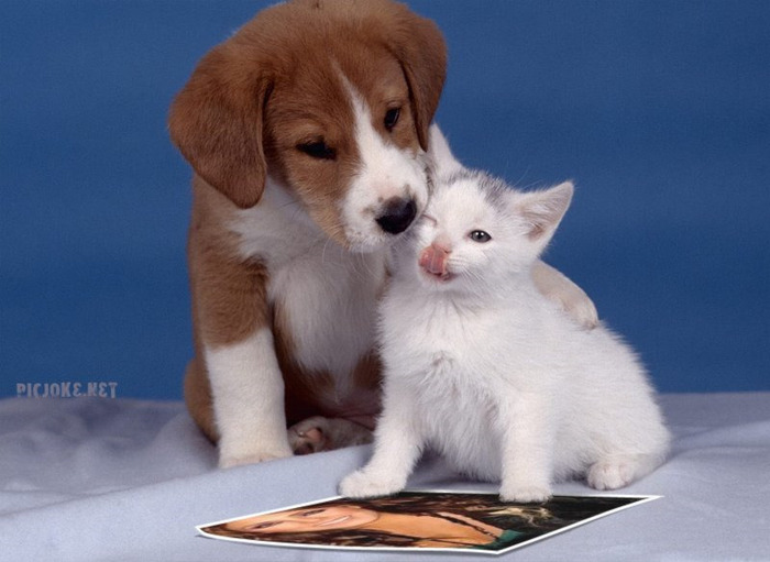 11-ro-f102791971347600fc78f1cc88131825