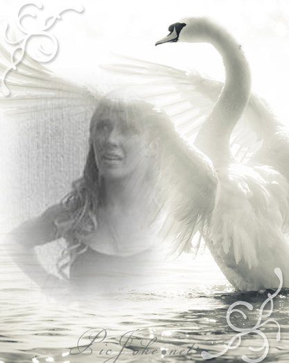 2-ro-e5cfb22f2ee917be97a263d9227bf701