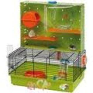 cusca hamster 1