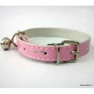 caine 2 - 5 Mazin accesorii pt animale