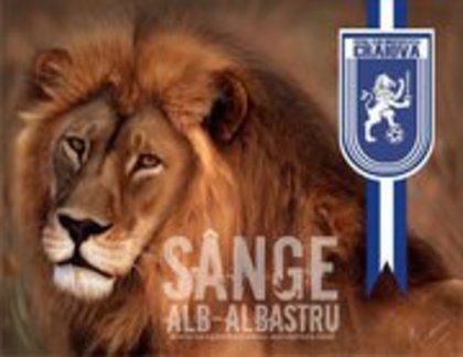 182408_166831546701535_100001240732359_403327_4706959_n[1]