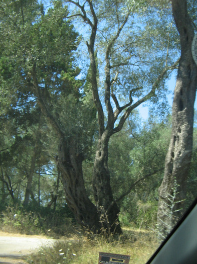 IMG_5720 - Corfu 2011