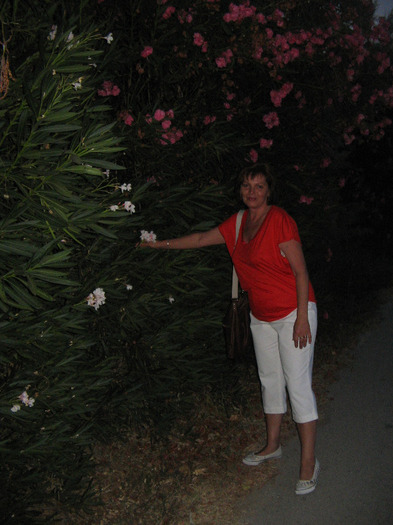 IMG_5763 - Corfu 2011