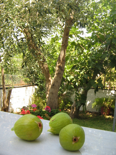 IMG_5877