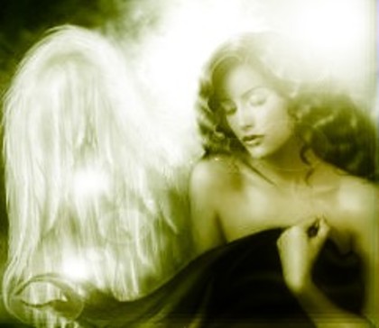 imagine modificata 28