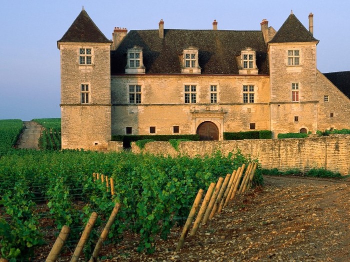 Clos de Vougeot Vineyard, Vougeot, France - Franta