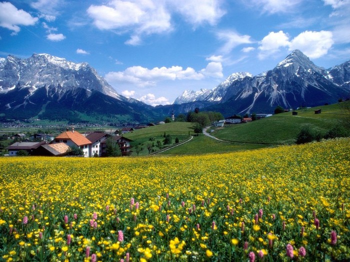 Countryside Splendor, France - Franta