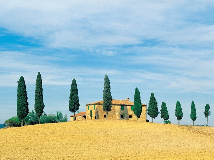 Golden Hillside, Tuscany, Italy