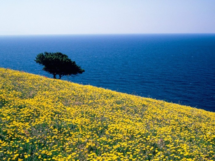 Antiparos, Aegean Sea, Greece - Grecia