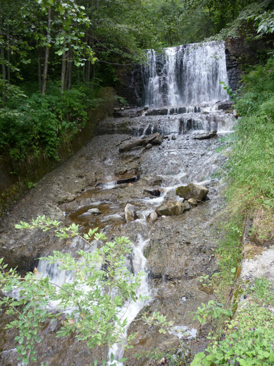 P1000327 - Curtea de Arges-Transfagaras 2011