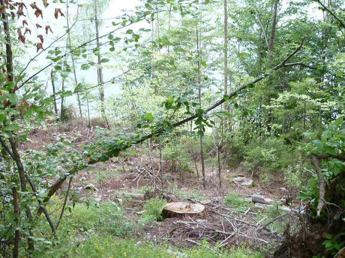 P1000333 - Curtea de Arges-Transfagaras 2011