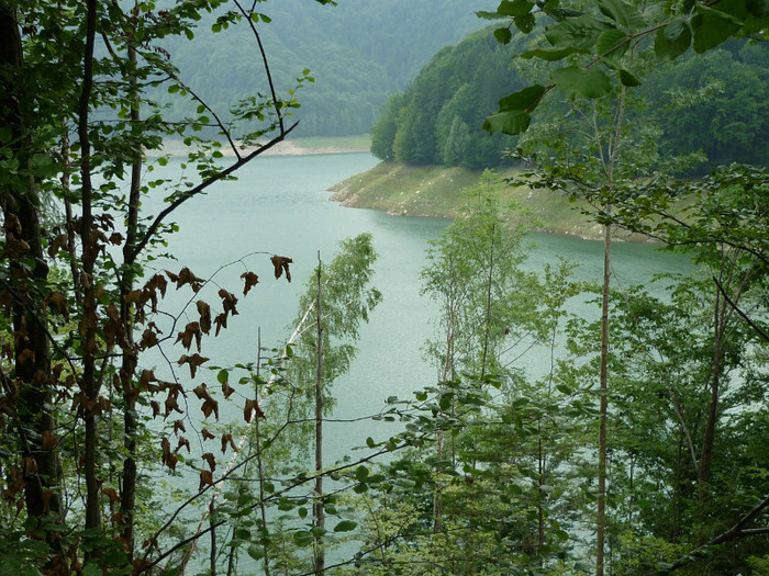 P1000334 - Curtea de Arges-Transfagaras 2011