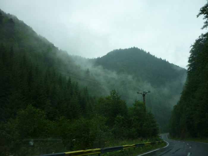 P1000338 - Curtea de Arges-Transfagaras 2011