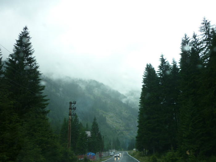 P1000340