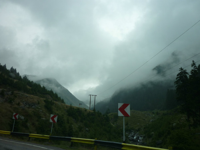 P1000343