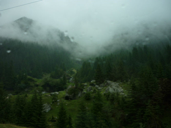 P1000344 - Curtea de Arges-Transfagaras 2011