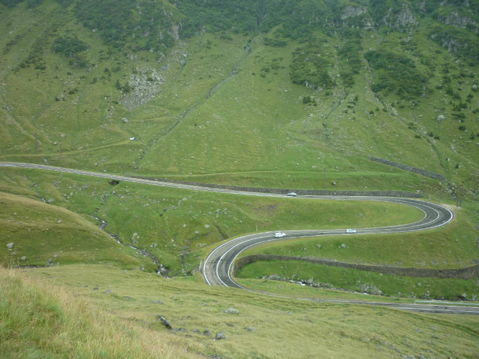 P1000350