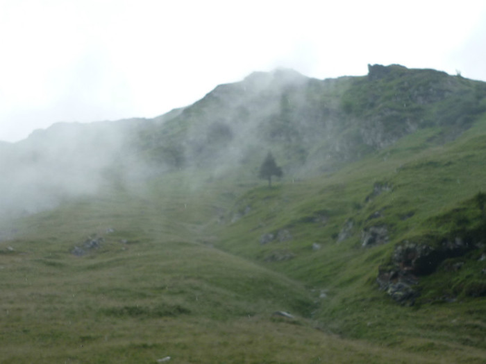 P1000354 - Curtea de Arges-Transfagaras 2011