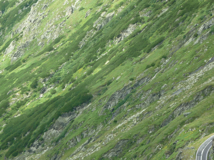 P1000394 - Curtea de Arges-Transfagaras 2011