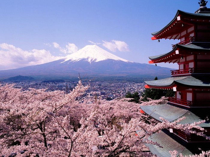 Cherry Blossoms and Mount Fuji, Japan - Japonia