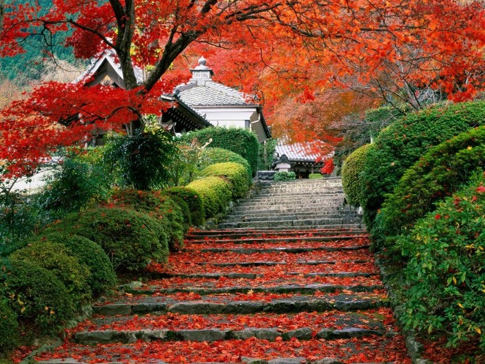 Garden Staircase, Kyoto, Japan