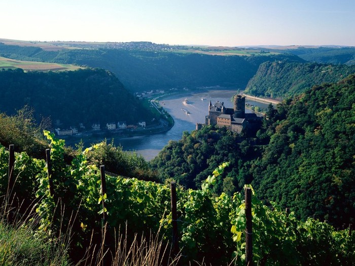 Burg Katz Above the Rhine, Germany - Germania