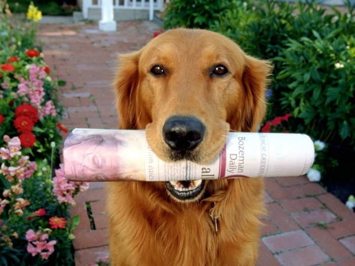 Where\'s My Tip!