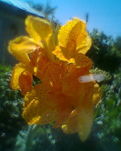 Fotogr.0309