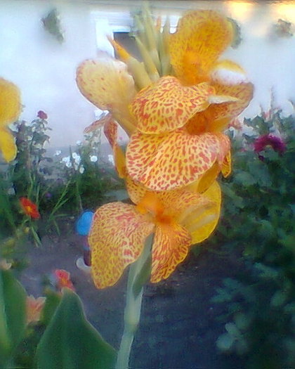 Fotogr.0317