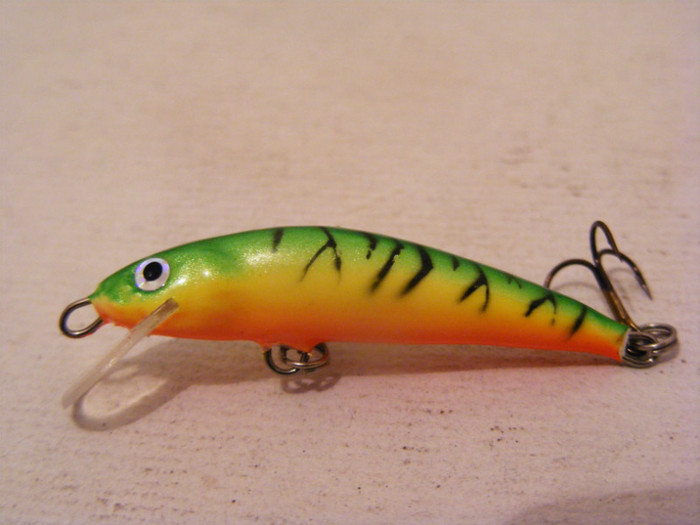 2011_0805PianuarieP0024